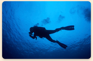 Scuba Diver descending to a coral reef off Los Roques islands, Venezuela