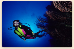 coral-reef-scuba-diver-los-roques-islands