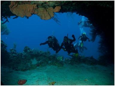 Dives and Courses in Los Roques